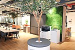 Serviced Offices Manette Street Soho W1D  1394-12.JPG