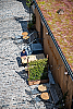 Managed Offices Bermondsey Street London Bridge SE1  427-21.png