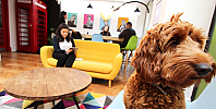 Serviced Offices Hatton Garden Chancery Lane EC1N  464-6.png