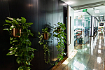 Serviced Offices Chalk Farm Road Camden Town NW1  597-9.png
