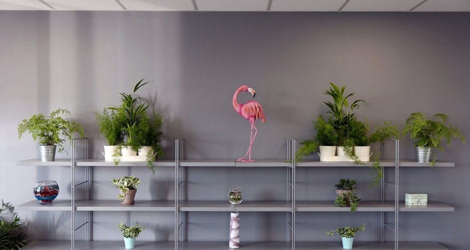 Office images