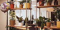 Serviced Offices Houndsditch Liverpool Street EC3A  883-19.png
