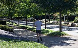 Serviced Offices Lakeside Drive Park Royal NW10  975-10.jpg